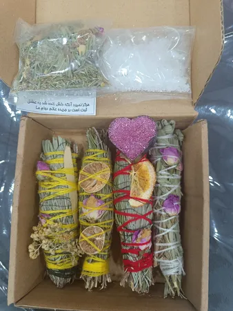 اسماج مدل سه گیاه مجموعه ۳ عددی