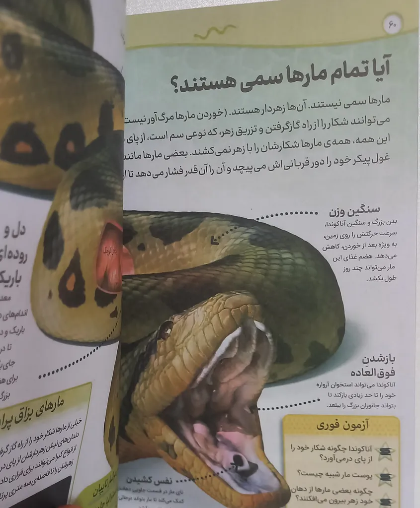 کتاب آیا میدانید؟ دانستنی‎‌های شگفت‌انگیز جهان هستی اثر کیارش درگاهی انتشارات آیین محمود