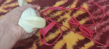 جلیقه پرواز عروس هلندی کد A36