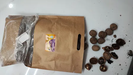 گردو با پوست کاغذی لرانه - 1000 گرم