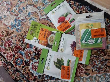 بذر شاهی بذر طلایی برتر کد BZT-95