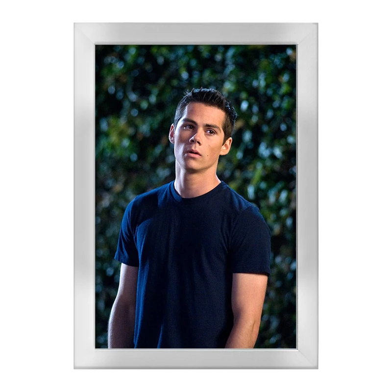 تابلو خندالو طرح استایلز استلینسکی سریال تین ولف Teen Wolf کد 28446