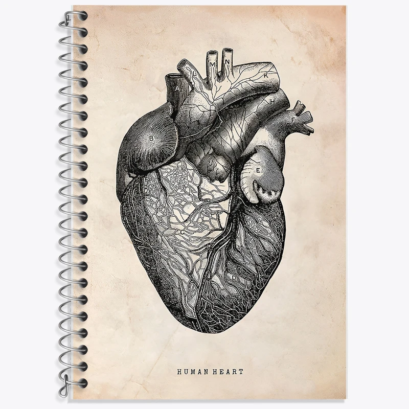 دفتر نت موسیقی 50 برگ خندالو طرح آناتومی قلب (Heart Anatomy) کد F13941