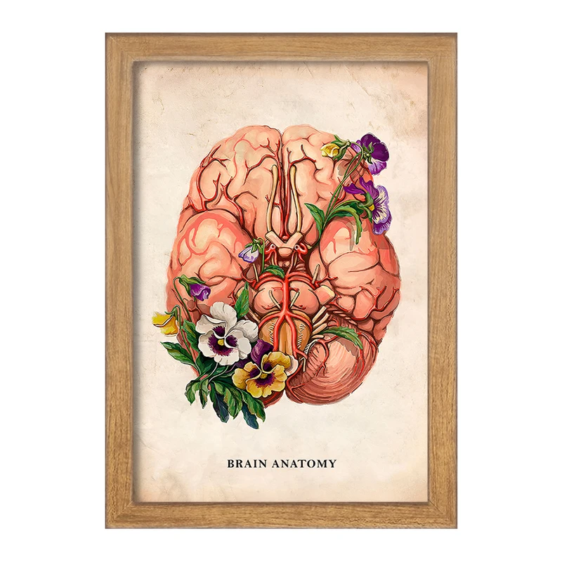 تابلو خندالو طرح آناتومی مغز (Brain Anatomy) کد F13976