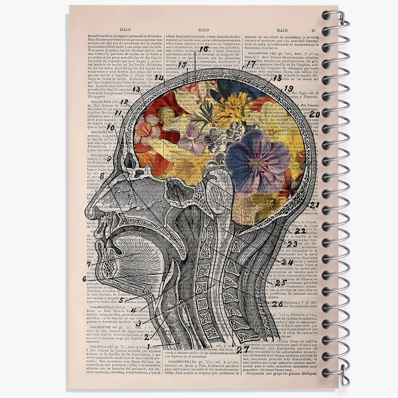 دفتر لیست خرید 50 برگ خندالو طرح آناتومی مغز (Brain Anatomy) کد F14038