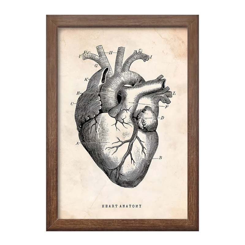 تابلو خندالو طرح آناتومی قلب (Heart Anatomy) کد F13940