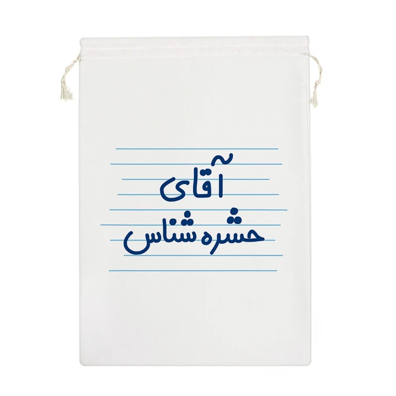 نظم دهنده خندالو مدل آقای حشره شناس کد 4270-M