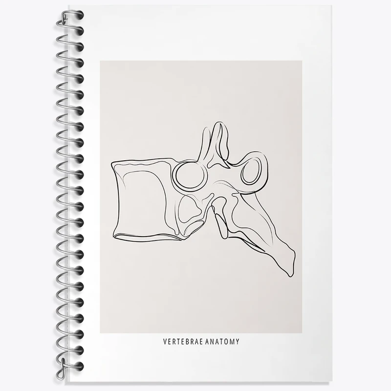 دفتر زبان 50 برگ خندالو مدل سه خط طرح آناتومی مهره ها (Vertebrae Anatomy) کد F13911