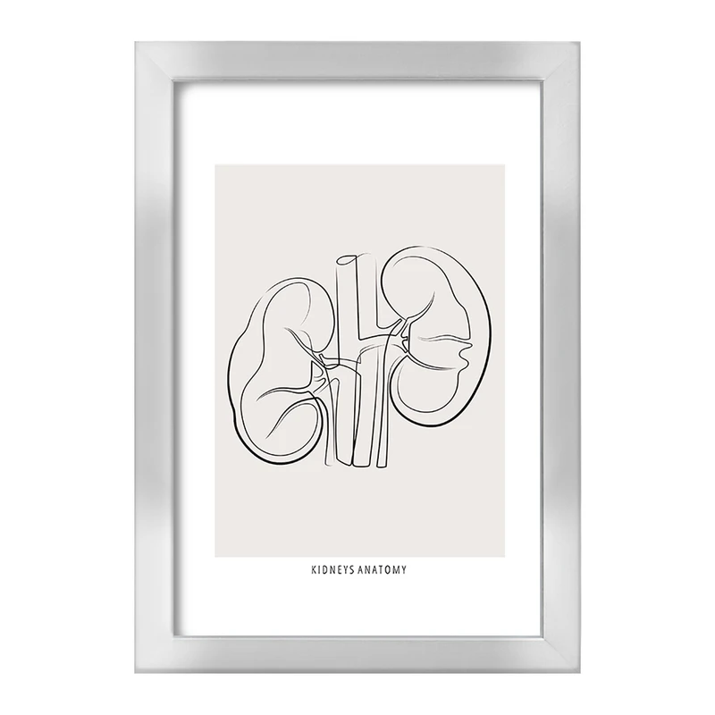 تابلو خندالو طرح آناتومی کلیه ها (kidneys Anatomy) کد F13901