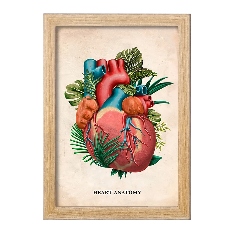 تابلو خندالو طرح آناتومی قلب (Heart Anatomy) کد F13986