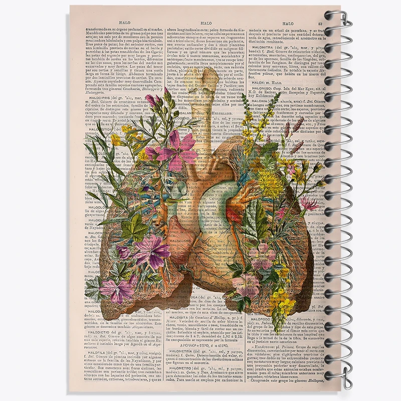 دفتر ژورنال نویسی 50 برگ خندالو مدل نقطه ای طرح آناتومی ریه ها (Lungs Anatomy) کد F14040