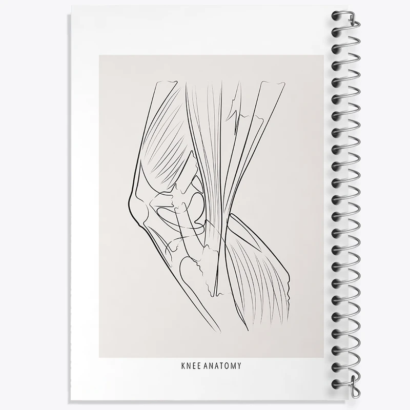 دفتر شطرنجی 50 برگ خندالو طرح آناتومی زانو (Knee Anatomy) کد F13925