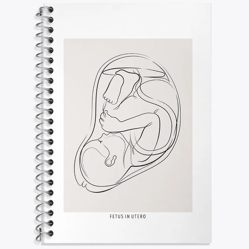 دفتر لغت 50 برگ خندالو طرح جنین (Fetus In Utero) کد F13935