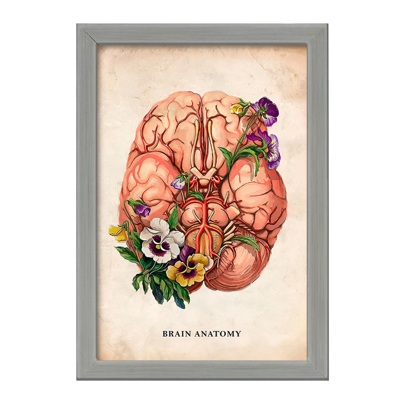 تابلو خندالو طرح آناتومی مغز (Brain Anatomy) کد F13976