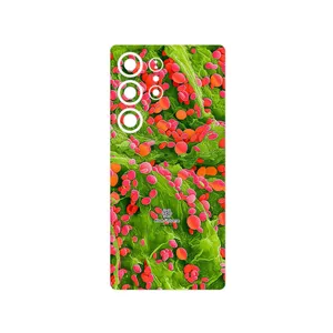 MAHOOT Atom Universe 3 Cover Sticker for Samsung Galaxy S25 Ultra