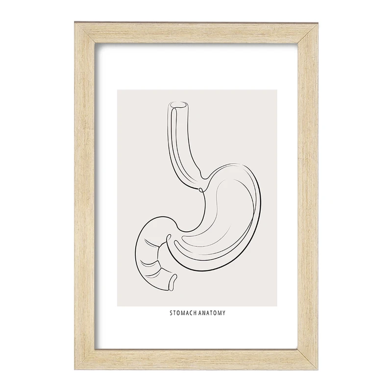 تابلو خندالو طرح آناتومی معده (Stomach Anatomy) کد F13904