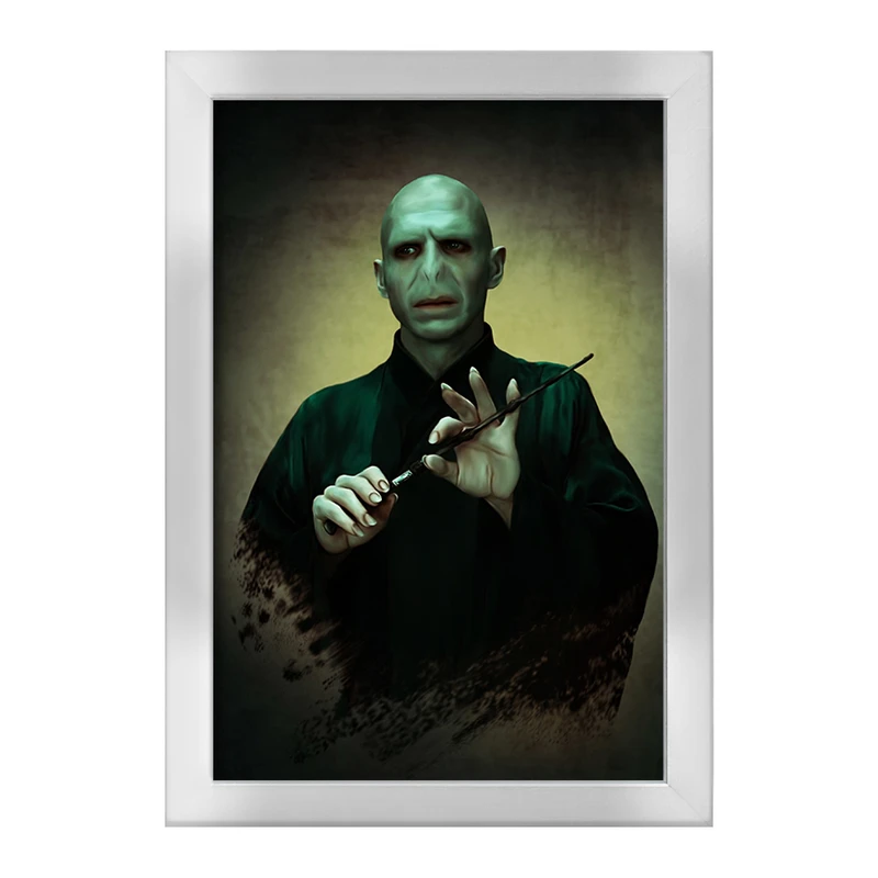 تابلو خندالو طرح هری پاتر (Harry Potter) کد F849