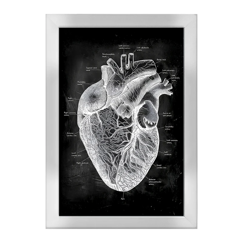 تابلو خندالو طرح آناتومی قلب (Heart Anatomy) کد F13956