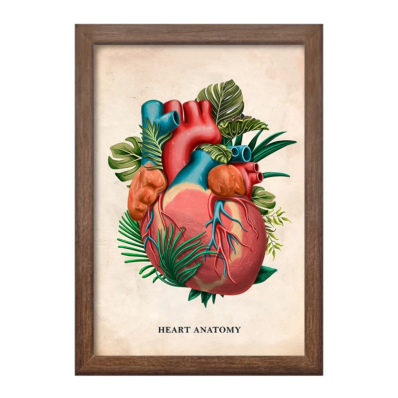 تابلو خندالو طرح آناتومی قلب (Heart Anatomy) کد F13986