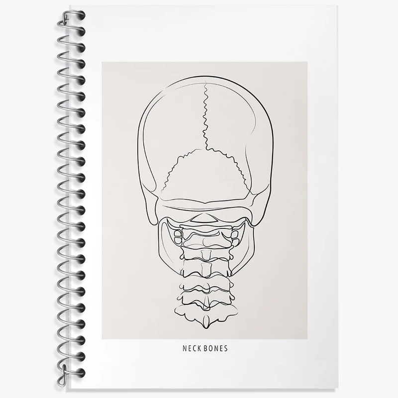 دفتر زبان 50 برگ خندالو مدل دو خط طرح آناتومی اسکلت سر از پشت کد F13895