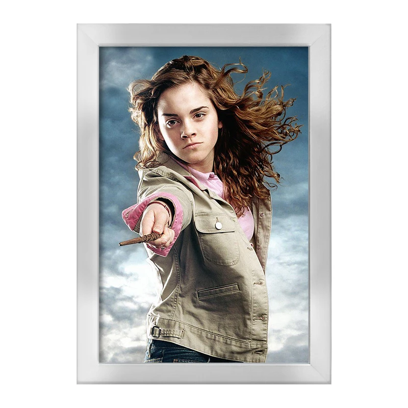 تابلو خندالو طرح  هری پاتر هرمیون کد 24915