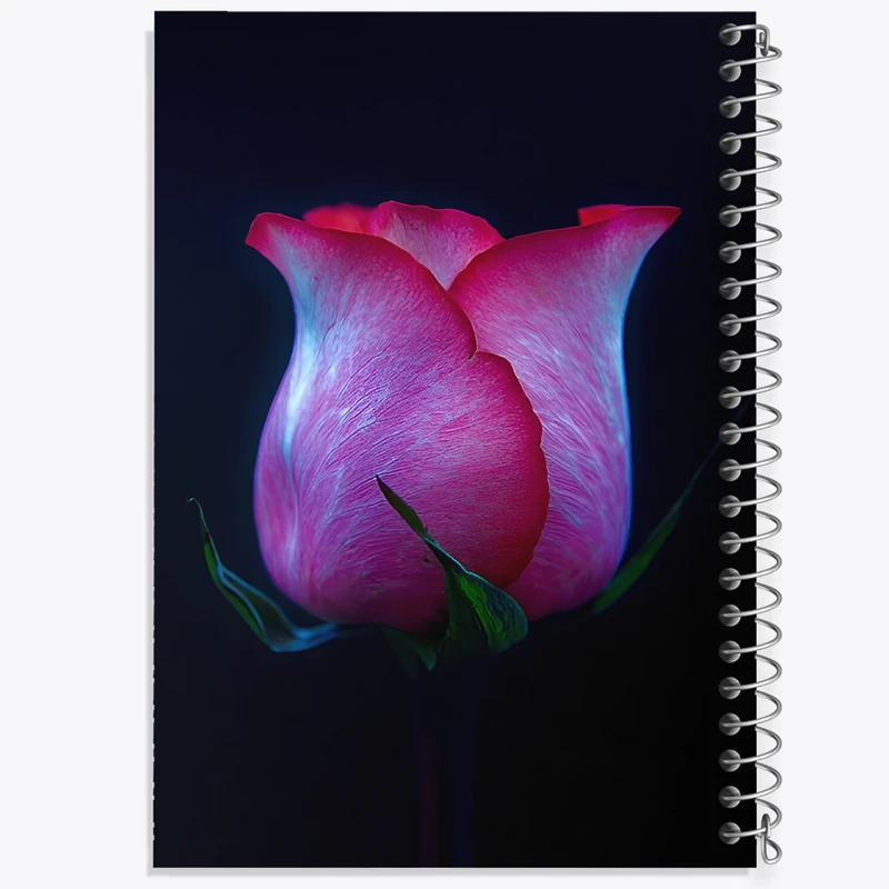 دفتر مشق 100 برگ خندالو طرح گل رز کد F12013