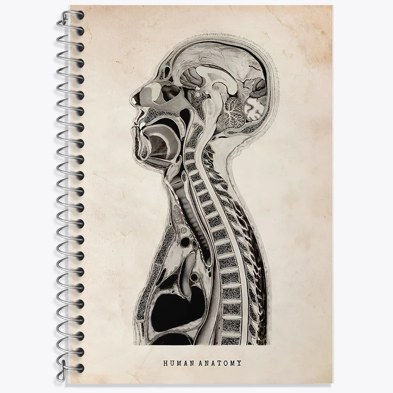 دفتر نت موسیقی 50 برگ خندالو طرح آناتومی انسان (Human Anatomy) کد F13948