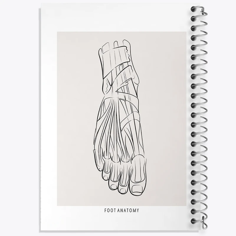 دفتر طراحی 50 برگ خندالو طرح آناتومی پا (Foot Anatomy) کد F13924
