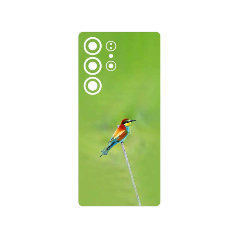 برچسب پوششی ماهوت مدل European bee-eater مناسب برای گوشی موبایل سامسونگ Galaxy S25 Ultra