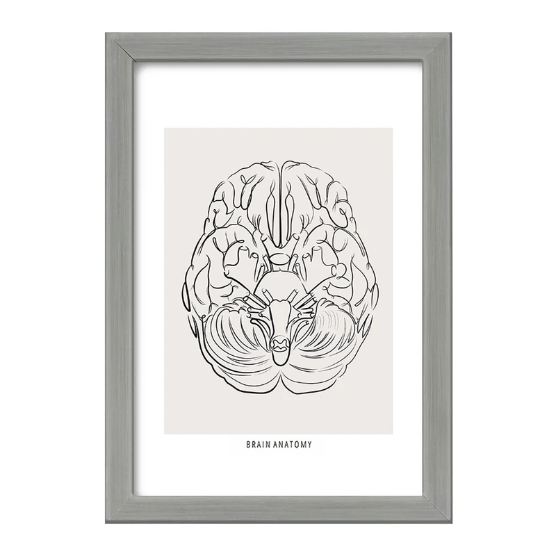 تابلو خندالو طرح آناتومی مغز (Brain Anatomy) کد F13890