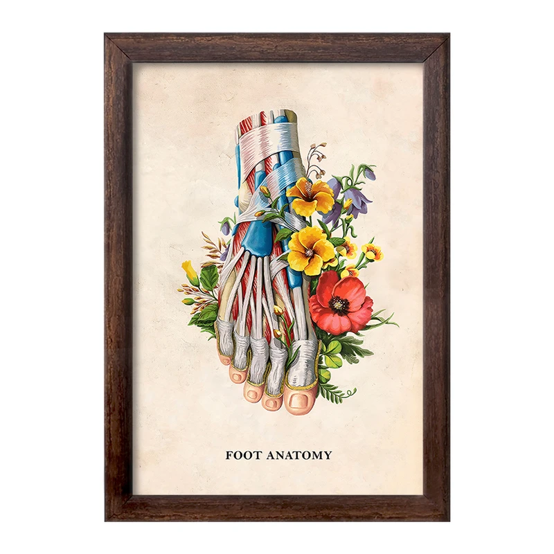 تابلو خندالو طرح آناتومی پا (Foot Anatomy) کد F14013