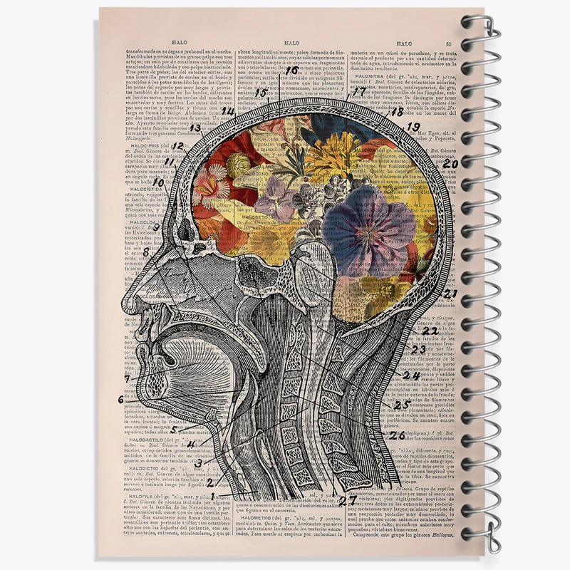 دفتر مشق 50 برگ خندالو طرح آناتومی مغز (Brain Anatomy) کد F14038