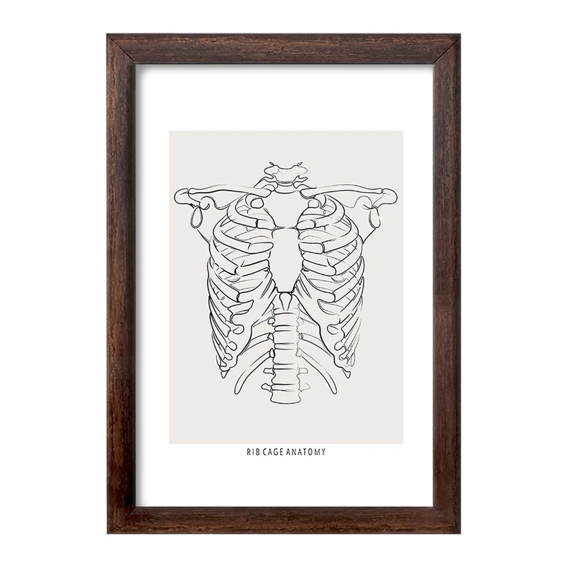 تابلو خندالو طرح آناتومی قفسه سینه (Rib Cage Anatomy) کد F13920