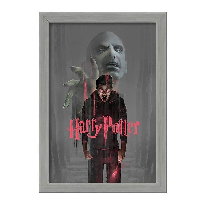 تابلو خندالو طرح هری پاتر (Harry Potter) کد F116