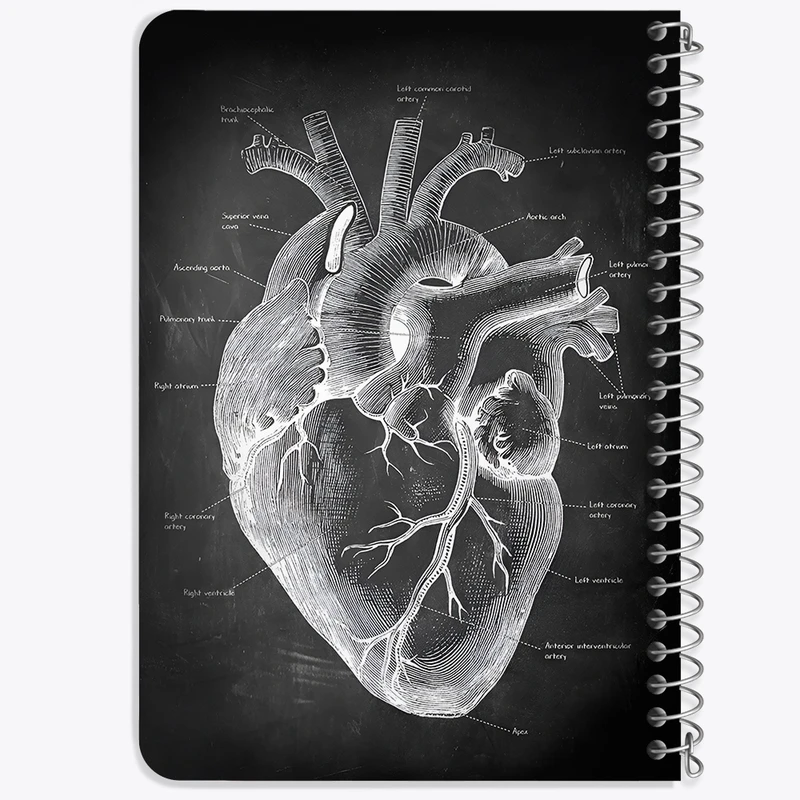 دفتر یادداشت 50 برگ خندالو طرح آناتومی قلب (Heart Anatomy) کد F13957