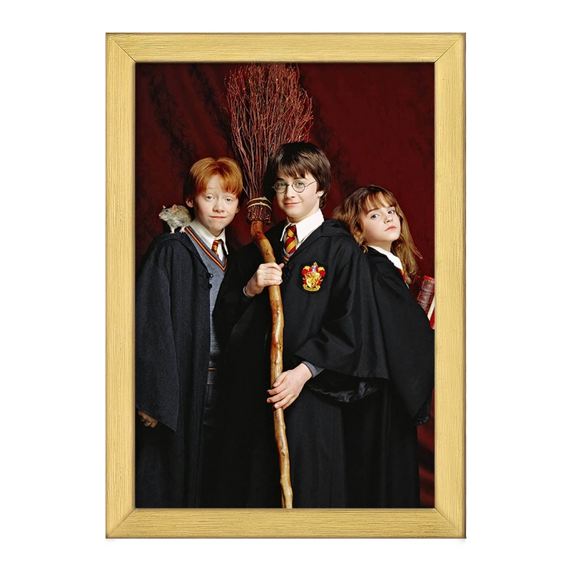 تابلو خندالو طرح رون و هرمیون و هری پاتر Harry Potter  کد 2914