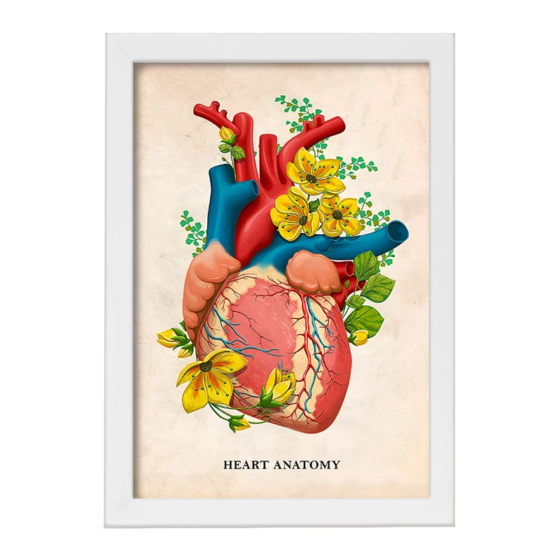 تابلو خندالو طرح آناتومی قلب (Heart Anatomy) کد F14016