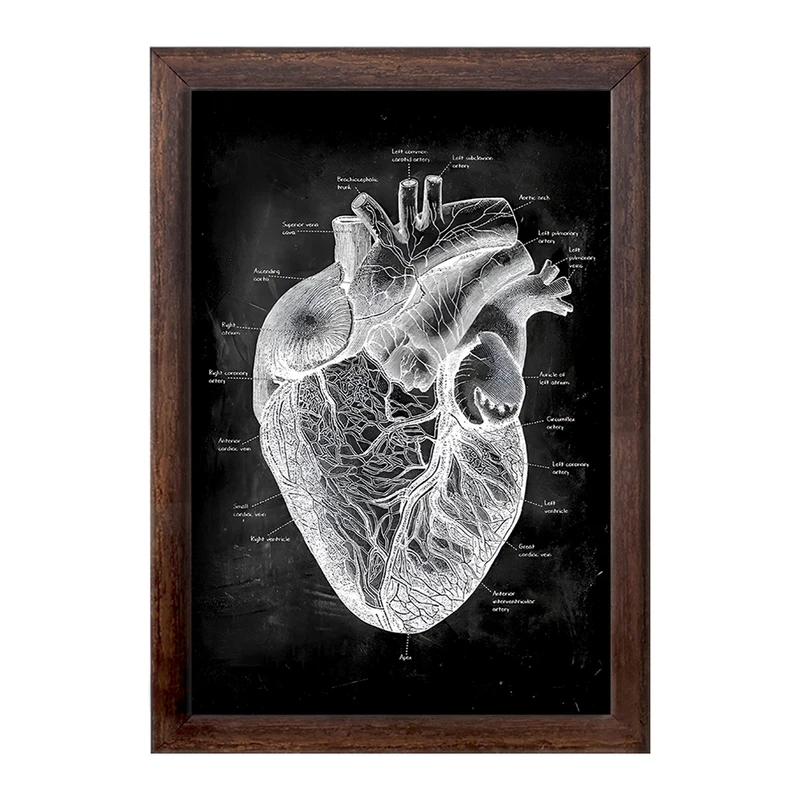 تابلو خندالو طرح آناتومی قلب (Heart Anatomy) کد F13956