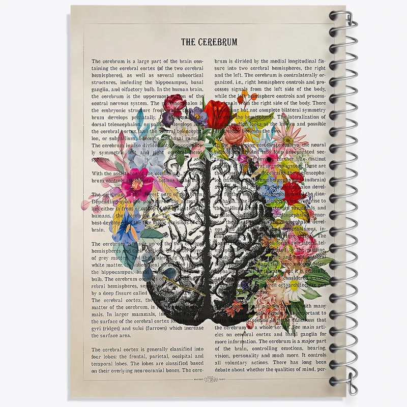 دفتر مشق 50 برگ خندالو طرح مغز (Brain) کد F14045