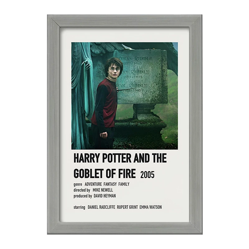 تابلو خندالو طرح هری پاتر (Harry Potter) کد F13405