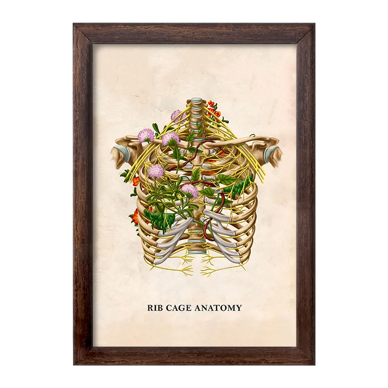 تابلو خندالو طرح آناتومی قفسه سینه (Rib Cage Anatomy) کد F13995