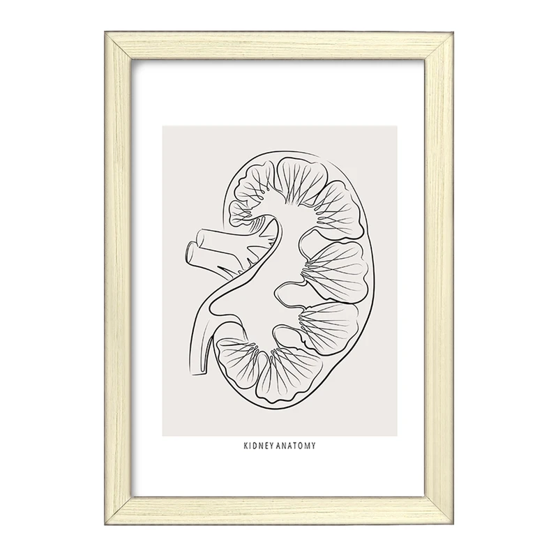 تابلو خندالو طرح آناتومی کلیه (kidney Anatomy) کد F13903