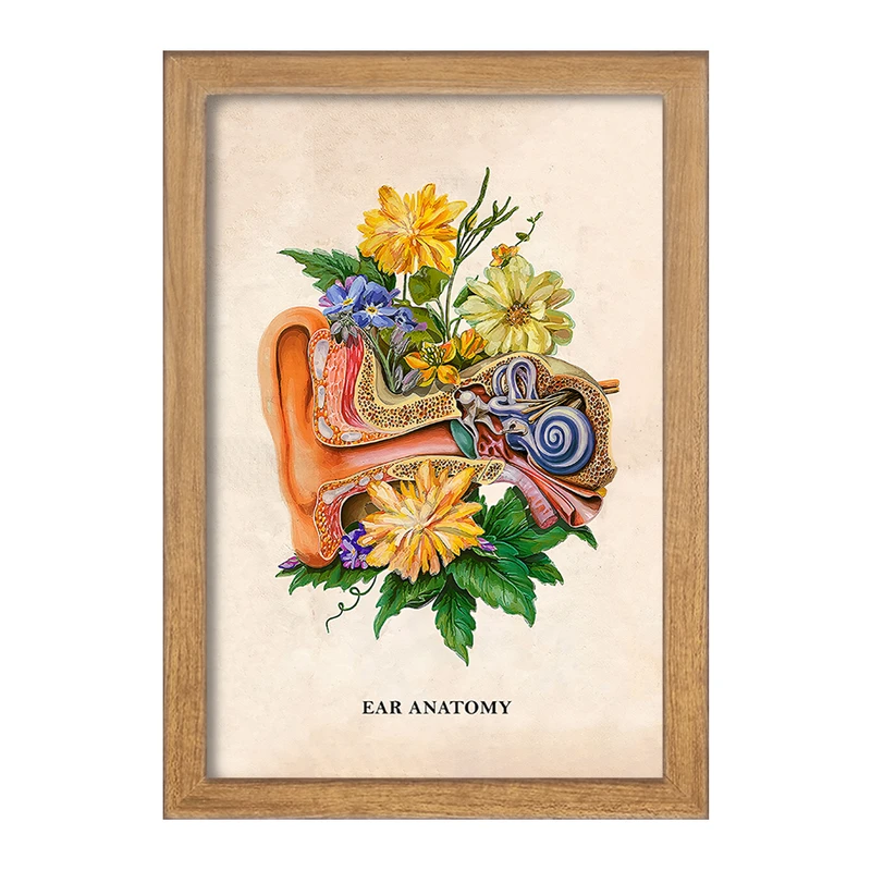 تابلو خندالو طرح آناتومی گوش (Ear Anatomy) کد F14021