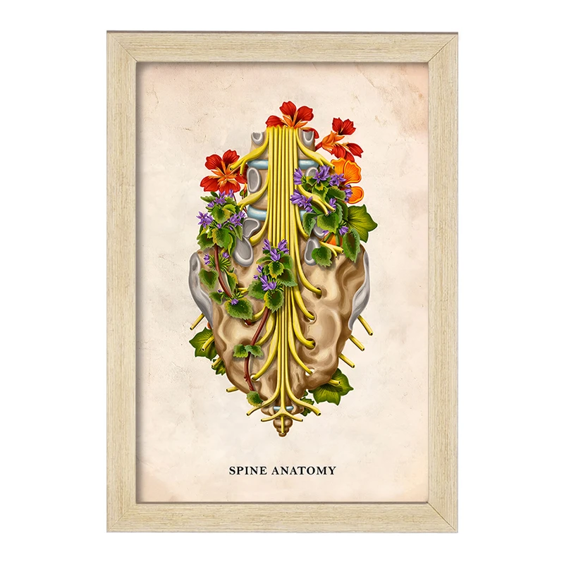 تابلو خندالو طرح آناتومی ستون فقرات (Spine Anatomy) کد F13983