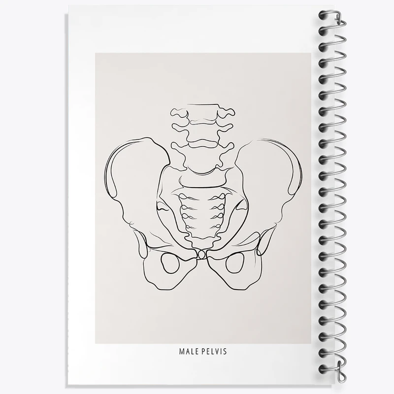 دفتر مشق 100 برگ خندالو طرح آناتومی لگن (Pelvis Anatomy) کد F13912