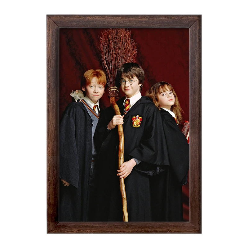 تابلو خندالو طرح رون و هرمیون و هری پاتر Harry Potter  کد 2914