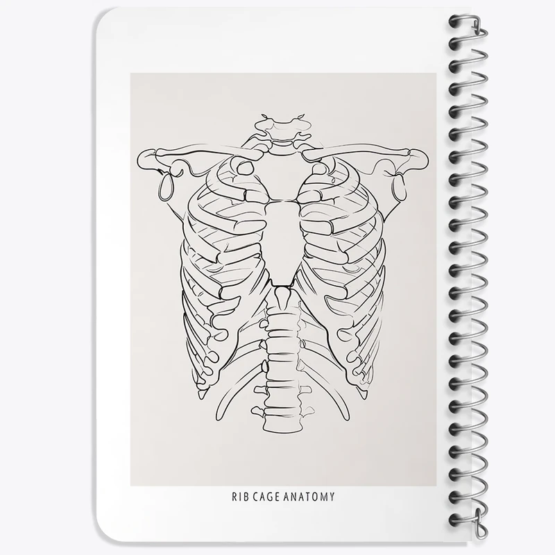 دفتر یادداشت 50 برگ خندالو طرح آناتومی قفسه سینه (Rib Cage Anatomy) کد F13920