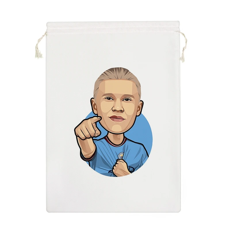 نظم دهنده خندالو مدل هالند کد 6055-M