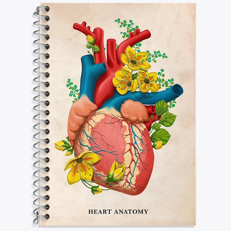دفتر زبان دوخط 50 برگ خندالو طرح آناتومی قلب (Heart Anatomy) کد F14016