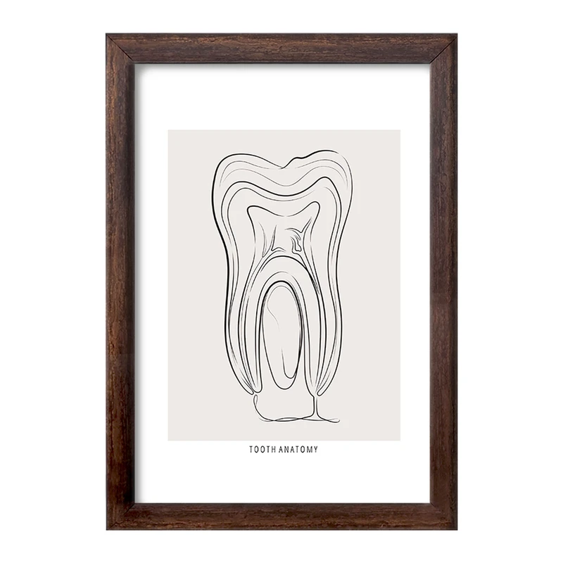 تابلو خندالو طرح آناتومی دندان (Tooth Anatomy) کد F13937
